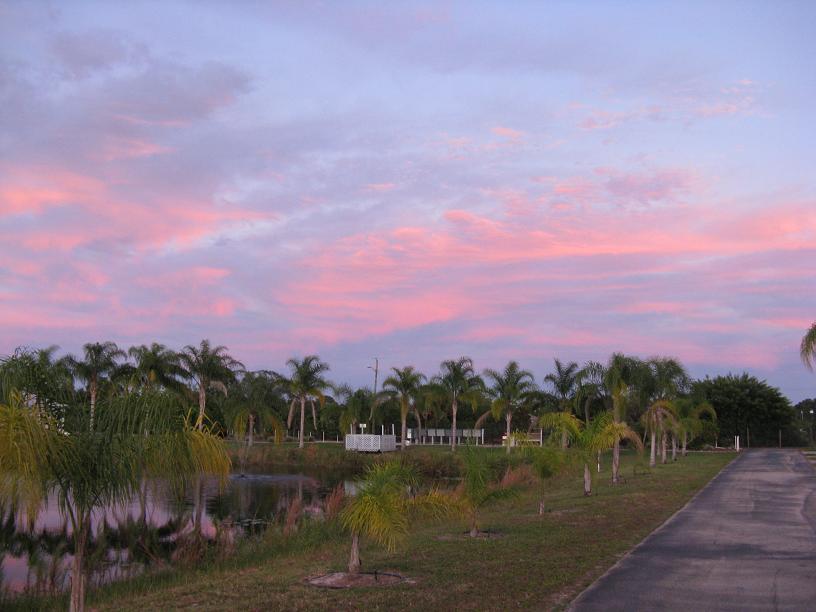 Picture of the Florida Sky